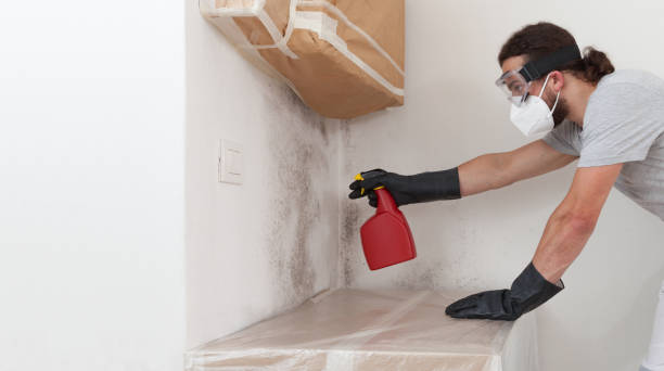 Professional Attic Mold Remediation technician working in Pineville, NC