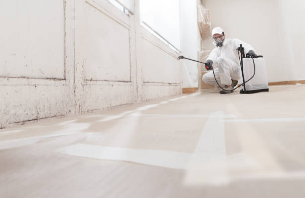 24/7 Emergency Attic Mold Remediation experts in Pineville, NC