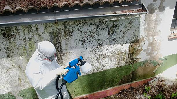 Top rated local Attic Mold Remediation specialists in Pineville, NC